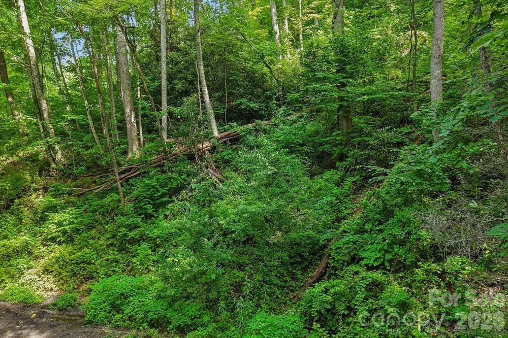 TBD Indian Falls Road Asheville, NC 28803