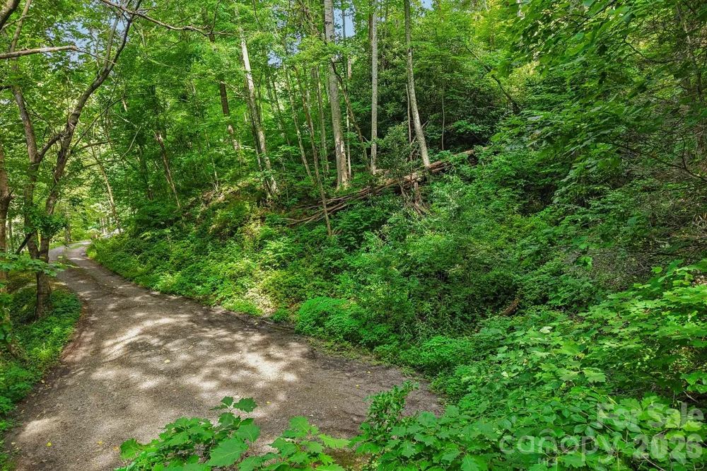 TBD Indian Falls Road Asheville, NC 28803
