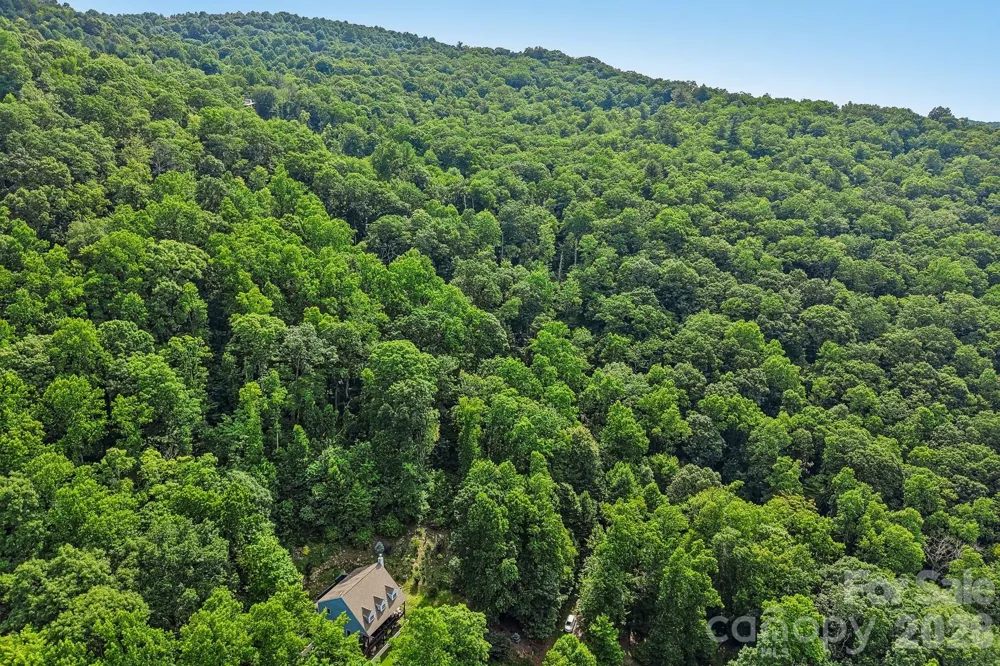 TBD Indian Falls Road Asheville, NC 28803