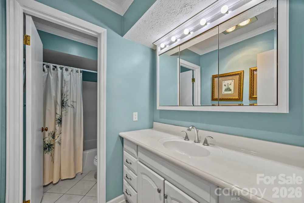 6773 & 6777 Pinnacle Mountain Road Zirconia, NC 28790