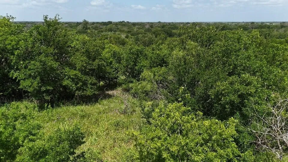 (OFF) HCR 3255 Mount Calm, TX 76673