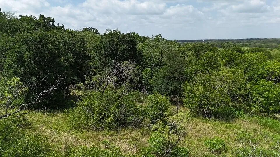 (OFF) HCR 3255 Mount Calm, TX 76673