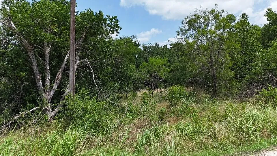 (OFF) HCR 3255 Mount Calm, TX 76673