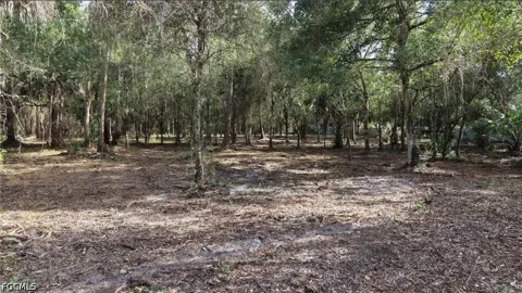 Woodland Boulevard