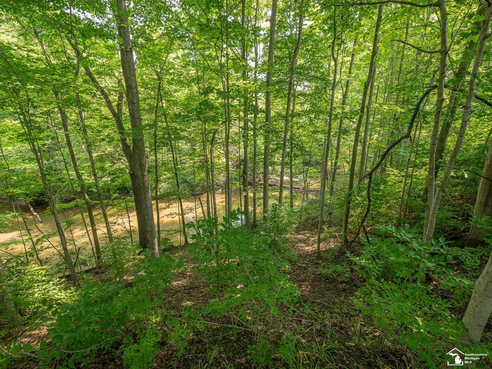 1606 Mooreville Road York Charter Township, MI 48160
