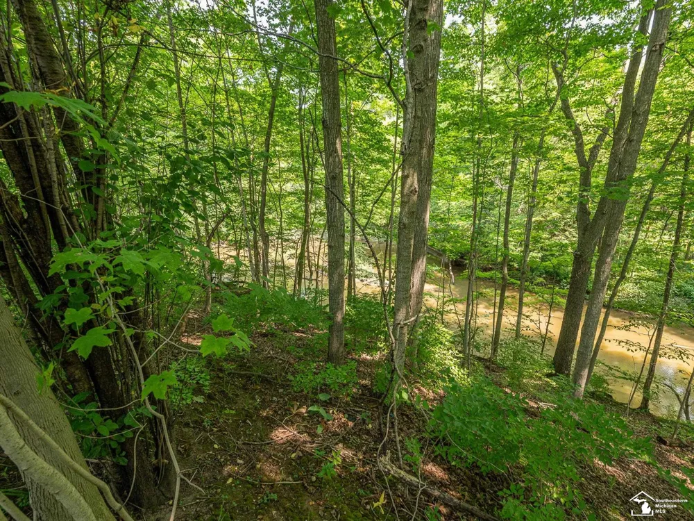 1606 Mooreville Road York Charter Township, MI 48160