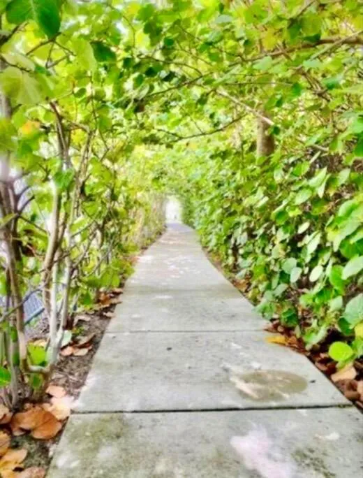 33 S OCEAN AVENUE #501 Palm Beach Shores, FL 33404