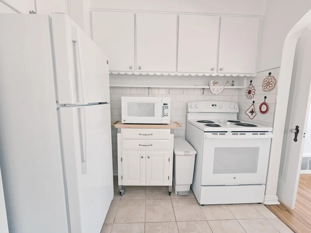 495 North Drive Wyandotte, MI 48192