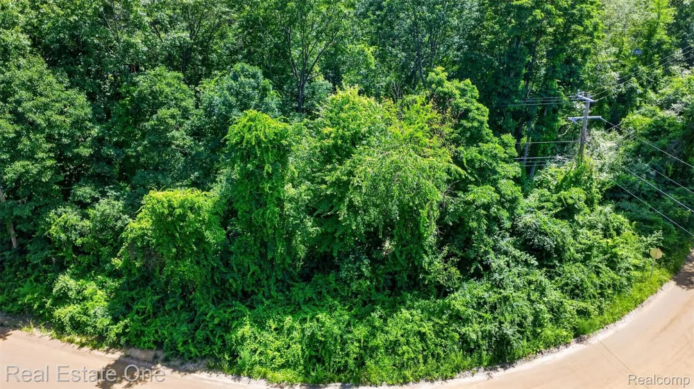 Big Lake Springfield Charter Township, MI 48350