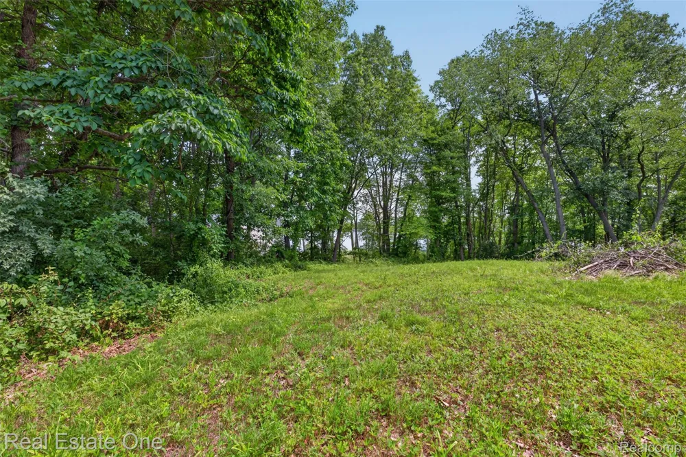 Big Lake Springfield Charter Township, MI 48350