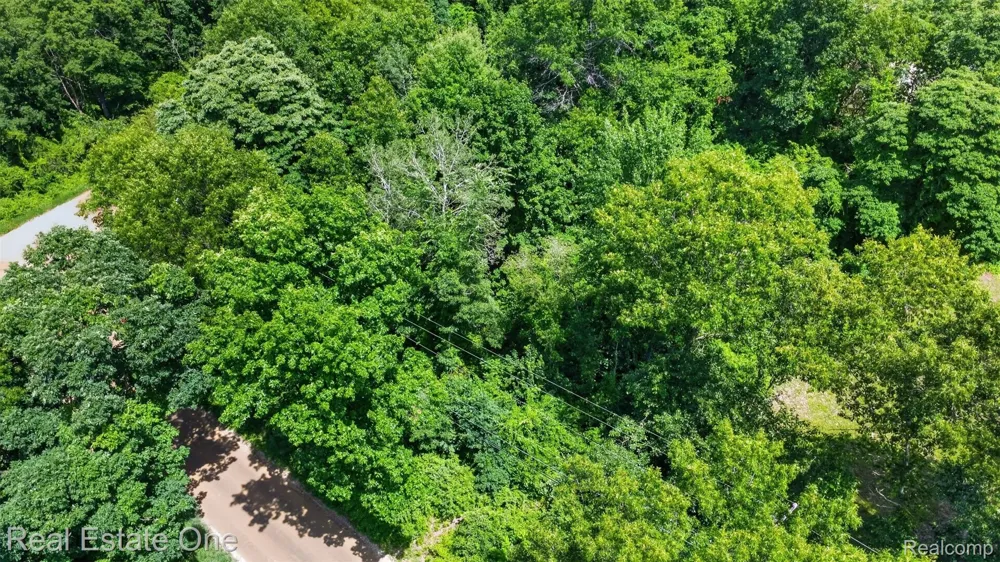 Big Lake Springfield Charter Township, MI 48350