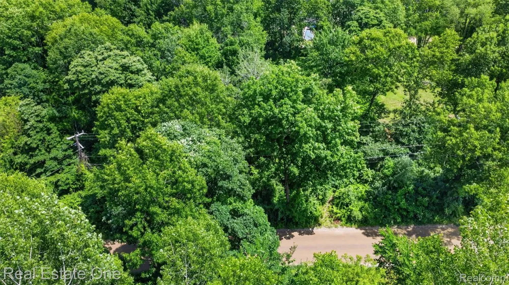 Big Lake Springfield Charter Township, MI 48350