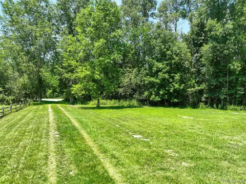 Nicholson Rd