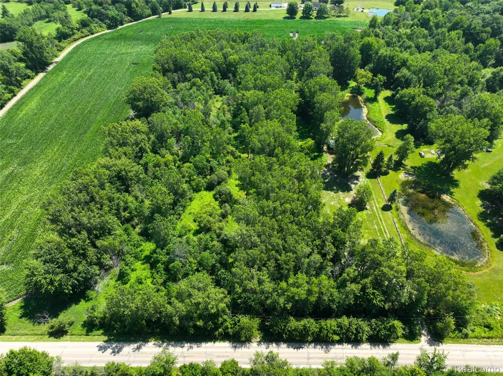 Nicholson Rd Fowlerville Village, MI 48836