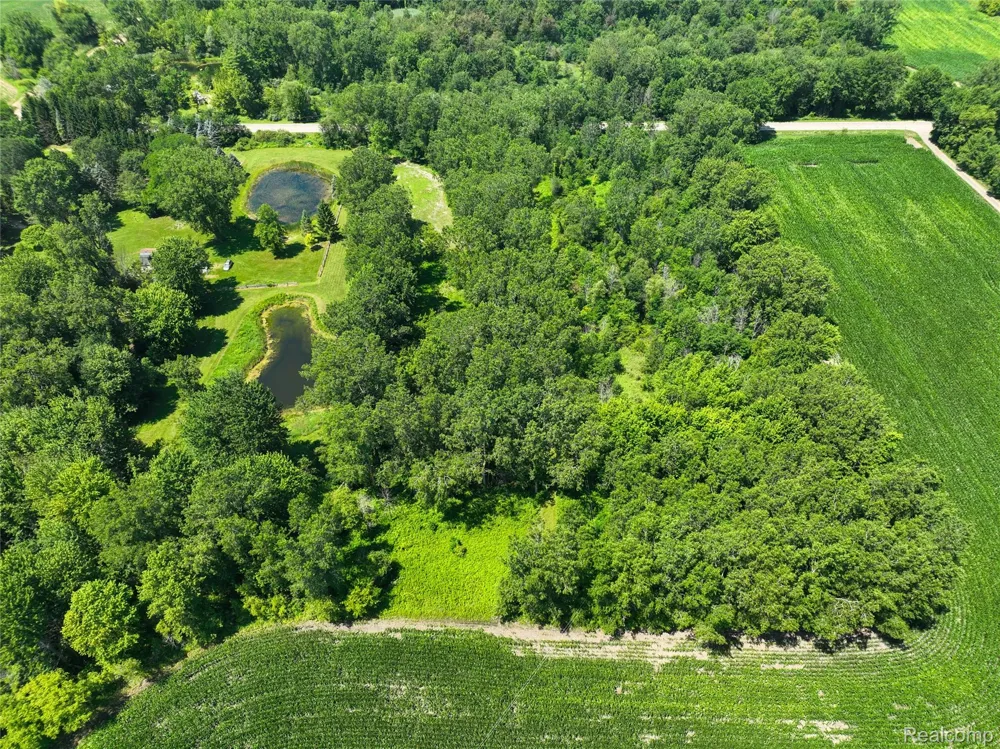 Nicholson Rd Fowlerville Village, MI 48836
