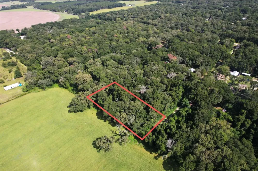 NW 73RD TERRACE Trenton, FL 32693