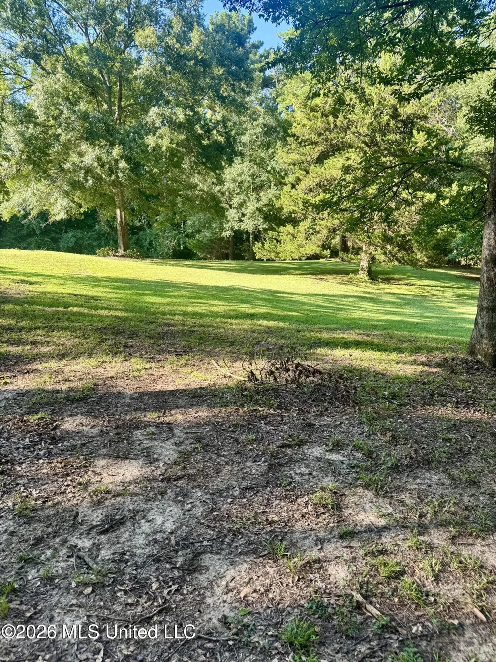 134 Kellog Woodville, MS 39669