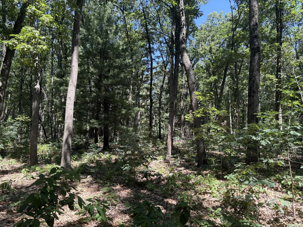 575 S Wolf Lake Road Egelston Township, MI 49442