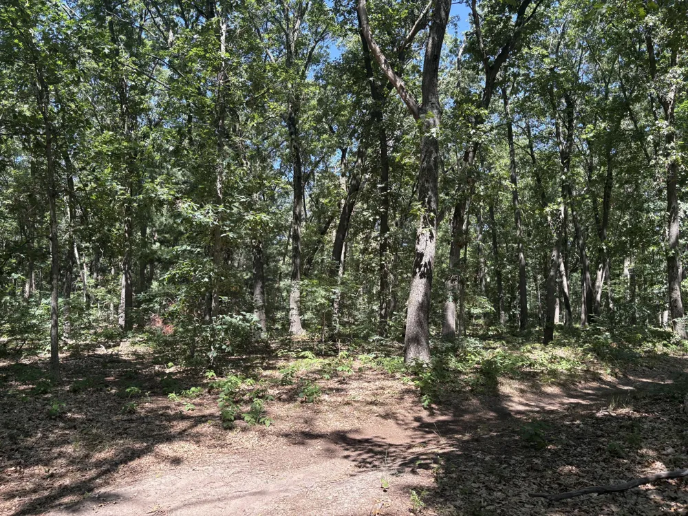 575 S Wolf Lake Road Egelston Township, MI 49442