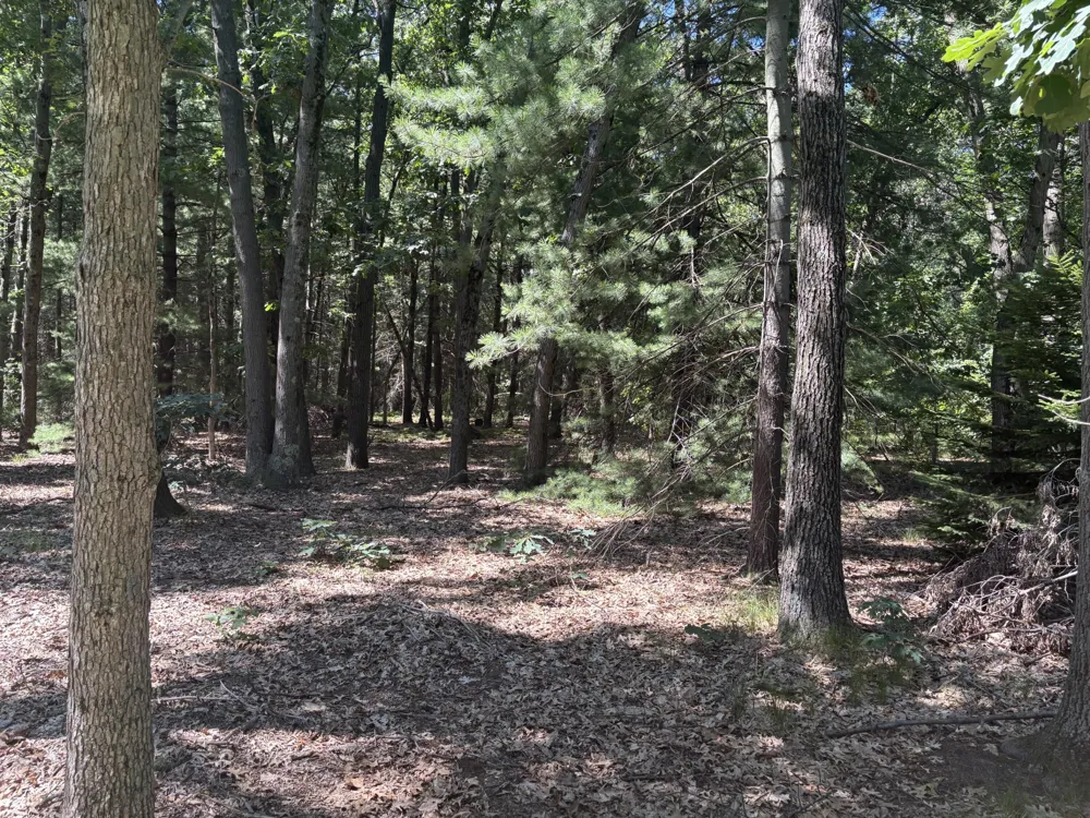 575 S Wolf Lake Road Egelston Township, MI 49442