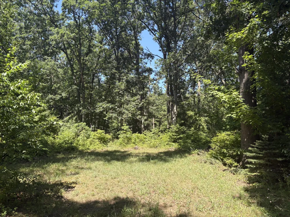 575 S Wolf Lake Road Egelston Township, MI 49442