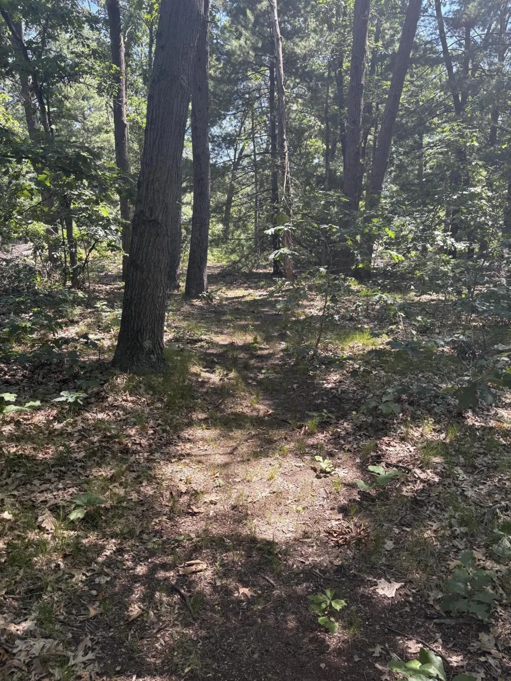 575 S Wolf Lake Road Egelston Township, MI 49442