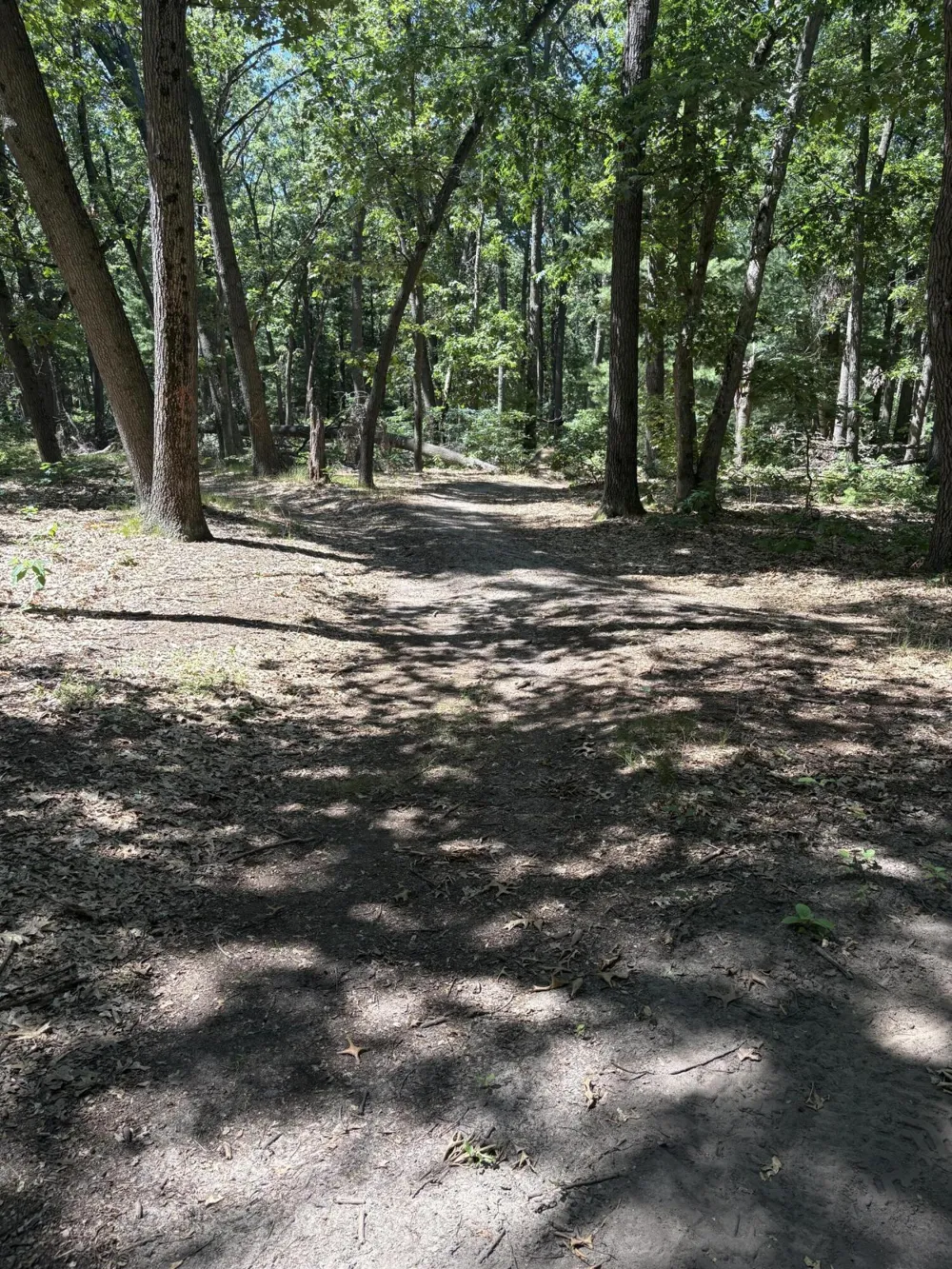575 S Wolf Lake Road Egelston Township, MI 49442