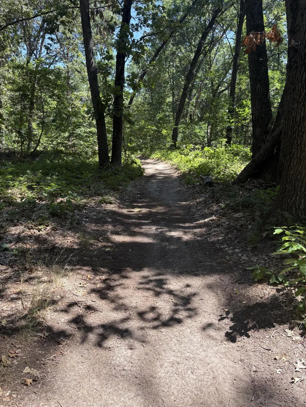 575 S Wolf Lake Road Egelston Township, MI 49442