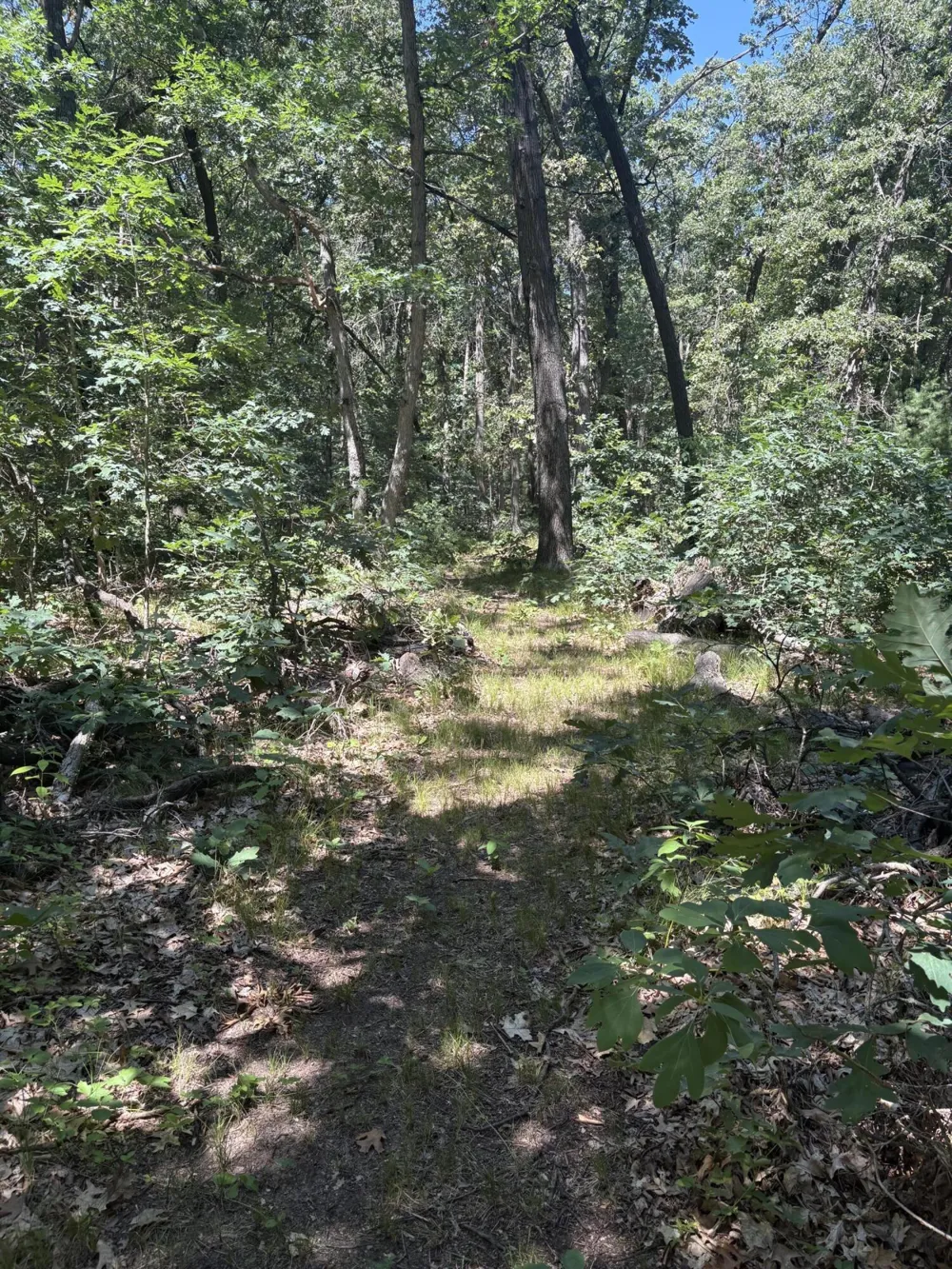 575 S Wolf Lake Road Egelston Township, MI 49442