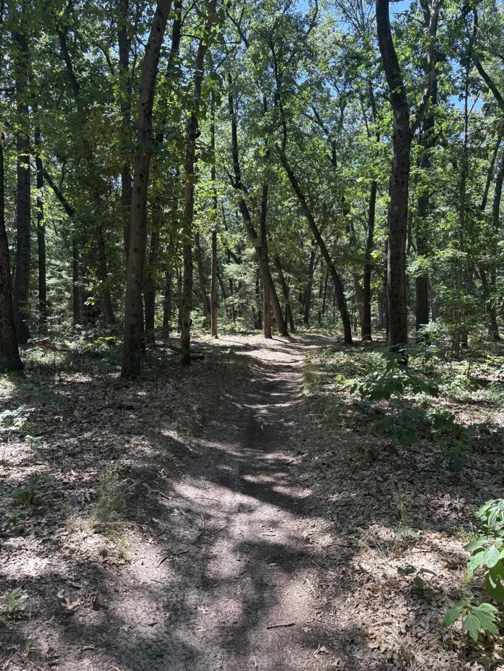 575 S Wolf Lake Road Egelston Township, MI 49442