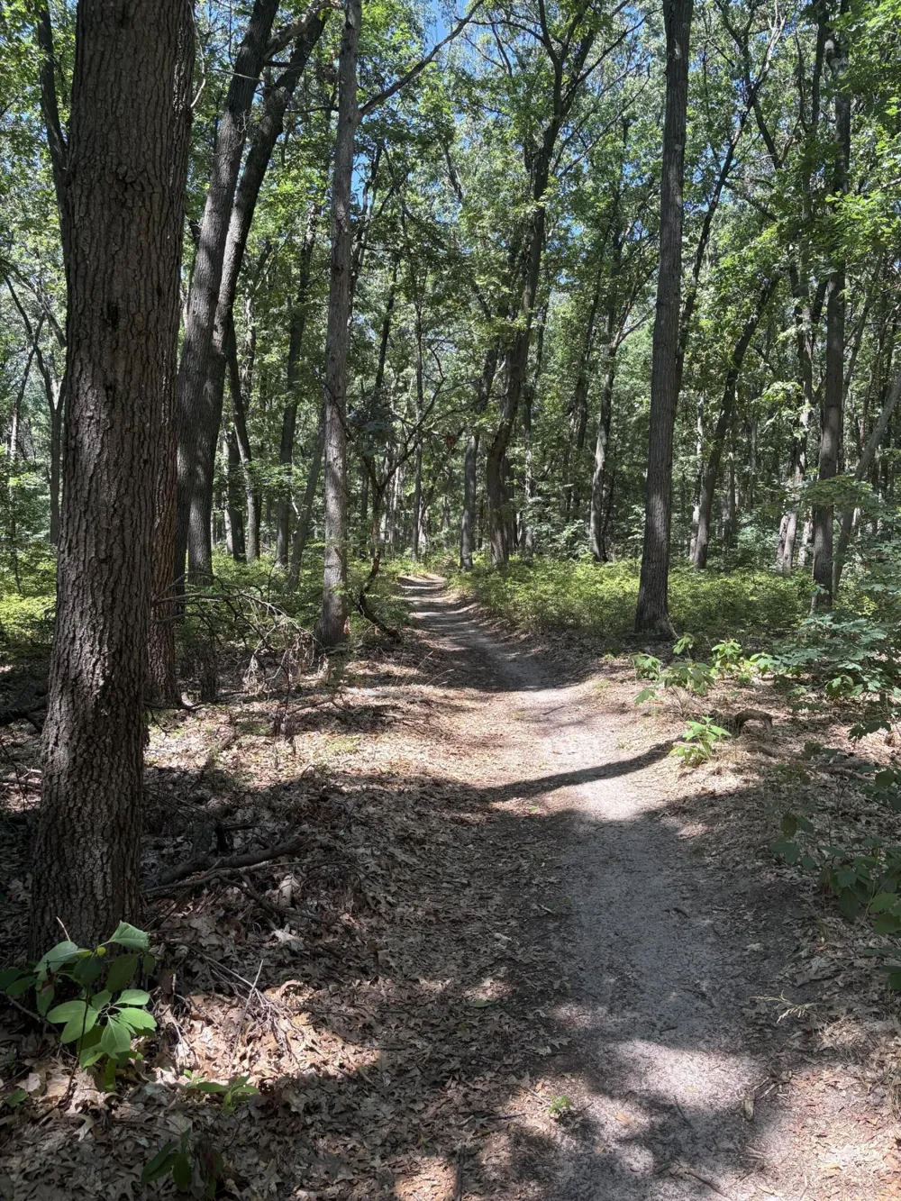 575 S Wolf Lake Road Egelston Township, MI 49442