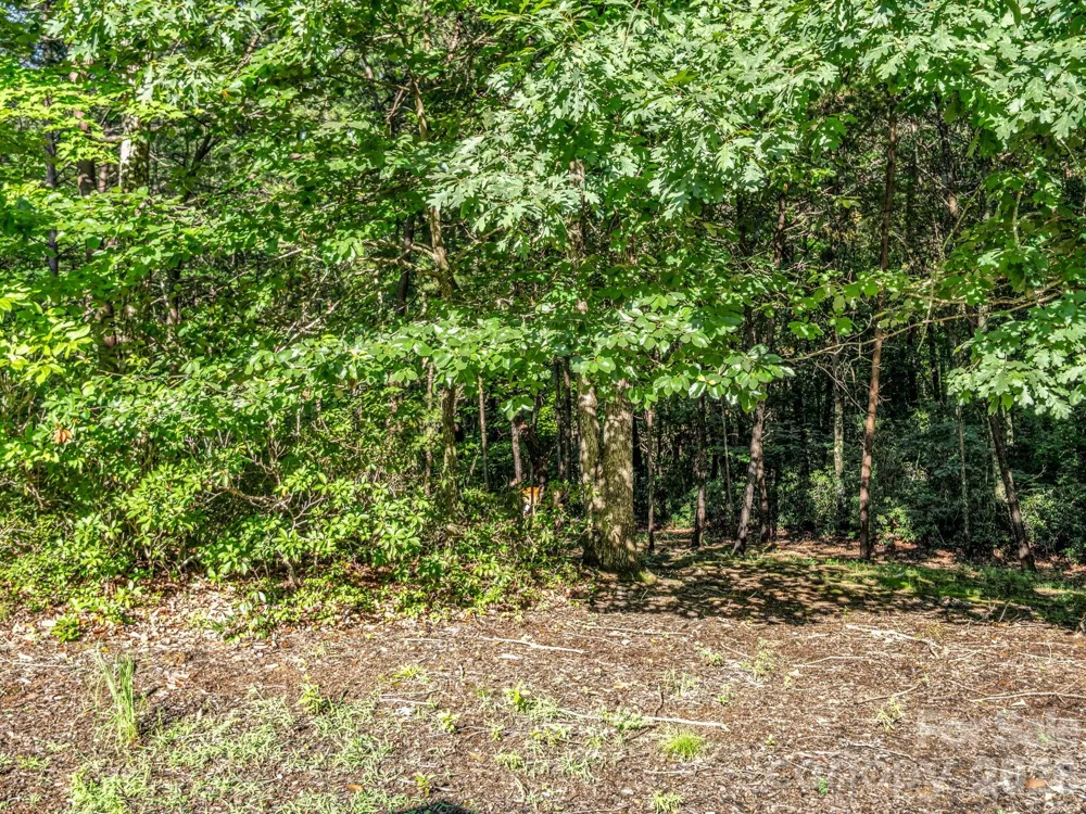141 Dalton Court Lake Lure, NC 28746