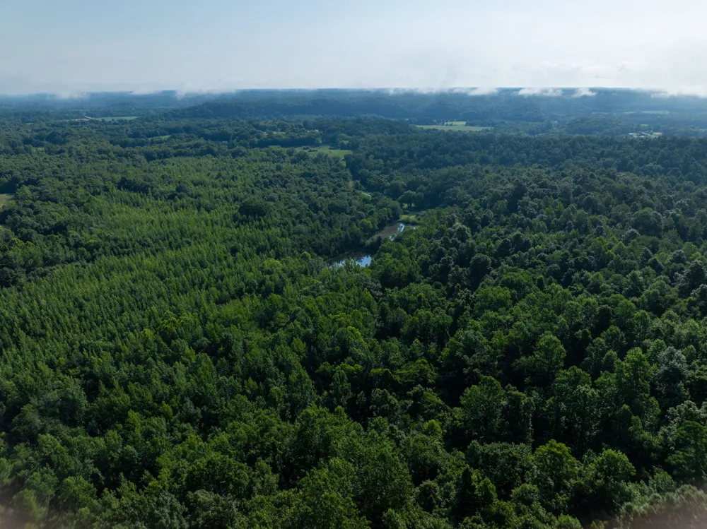 1765 Old Cedar Creek Rd Linden, TN 37096