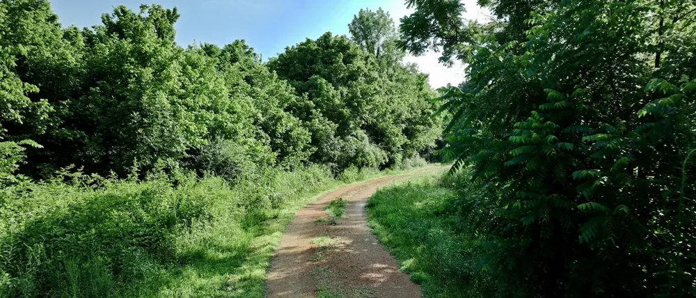 1765 Old Cedar Creek Rd Linden, TN 37096