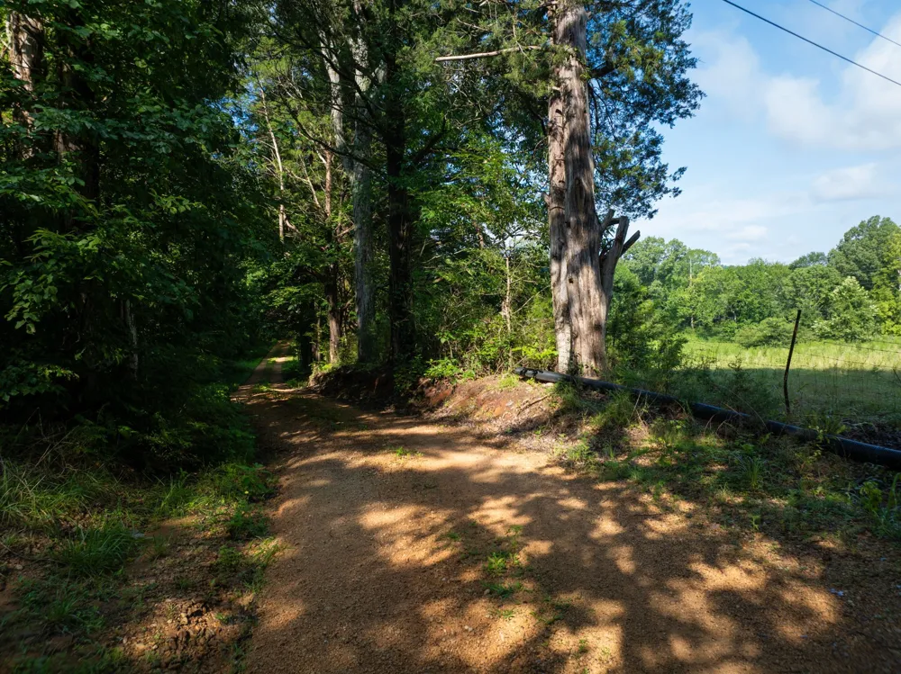 1765 Old Cedar Creek Rd Linden, TN 37096