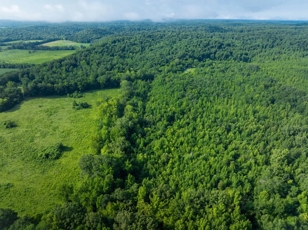 1765 Old Cedar Creek Rd Linden, TN 37096