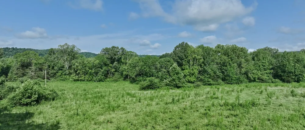 1765 Old Cedar Creek Rd Linden, TN 37096