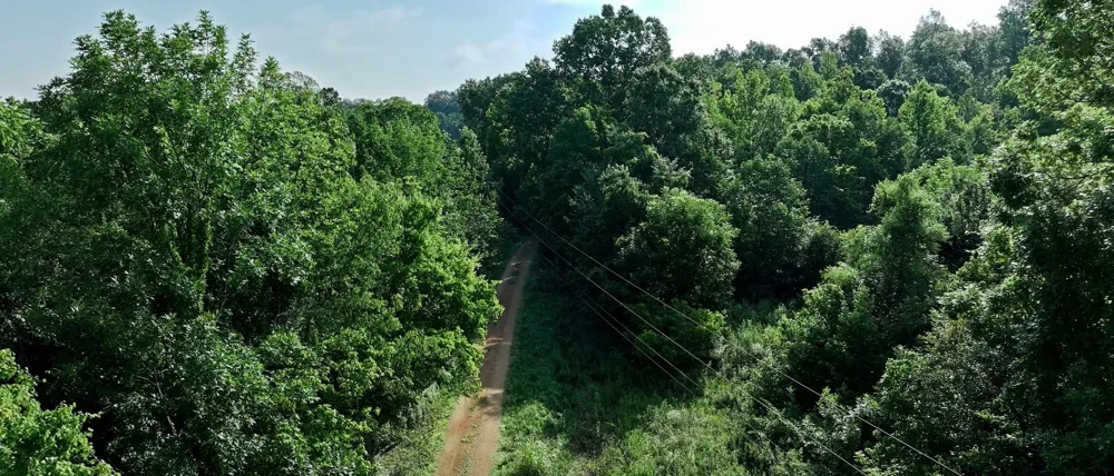1765 Old Cedar Creek Rd Linden, TN 37096