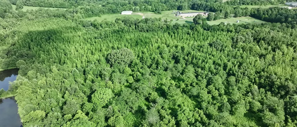 1765 Old Cedar Creek Rd Linden, TN 37096