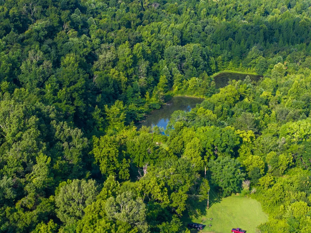 1765 Old Cedar Creek Rd Linden, TN 37096