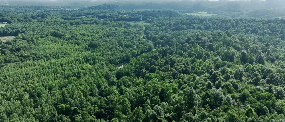 1765 Old Cedar Creek Rd Linden, TN 37096
