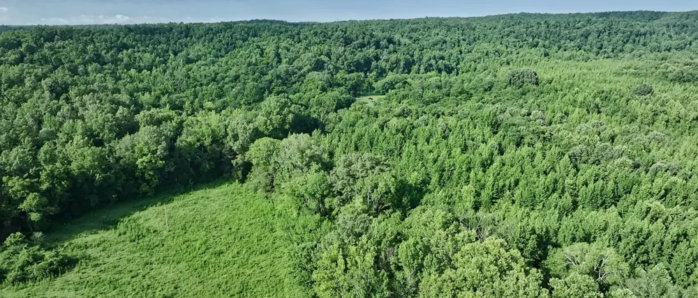 1765 Old Cedar Creek Rd Linden, TN 37096