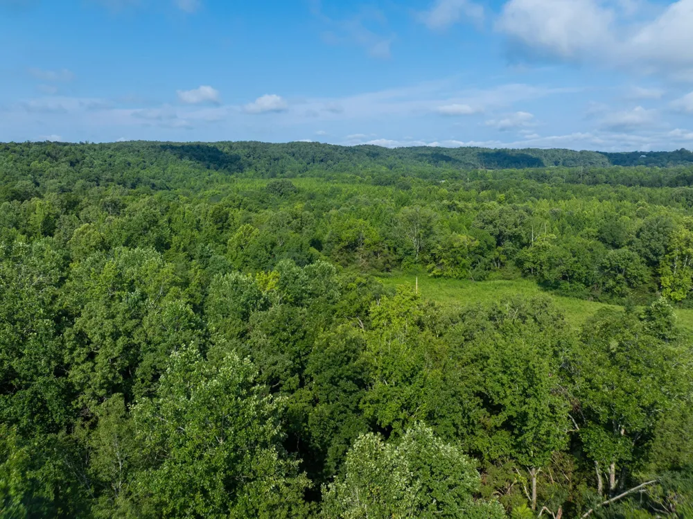 1765 Old Cedar Creek Rd Linden, TN 37096
