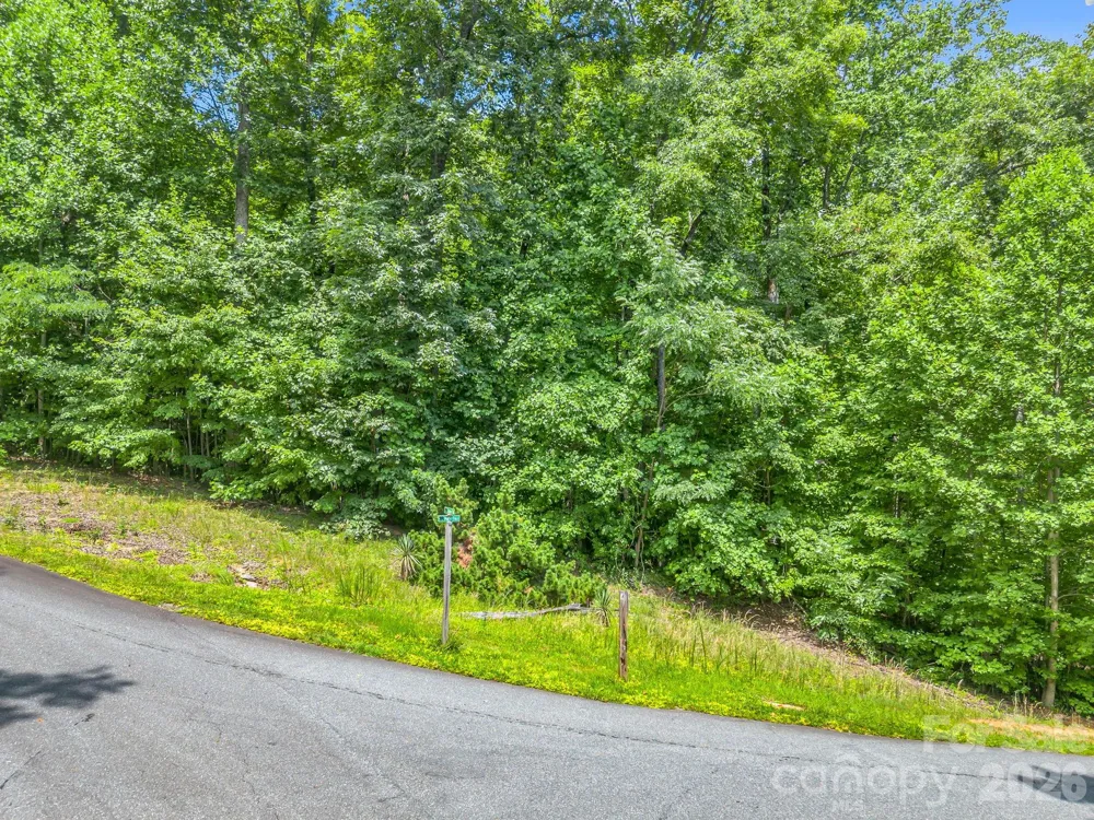 Lot 29 Matho Trace #29 Lake Lure, NC 28746