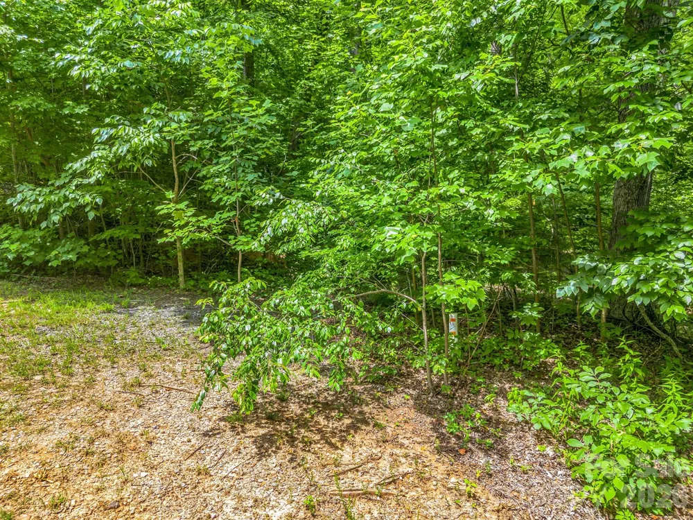 Lot 29 Matho Trace #29 Lake Lure, NC 28746
