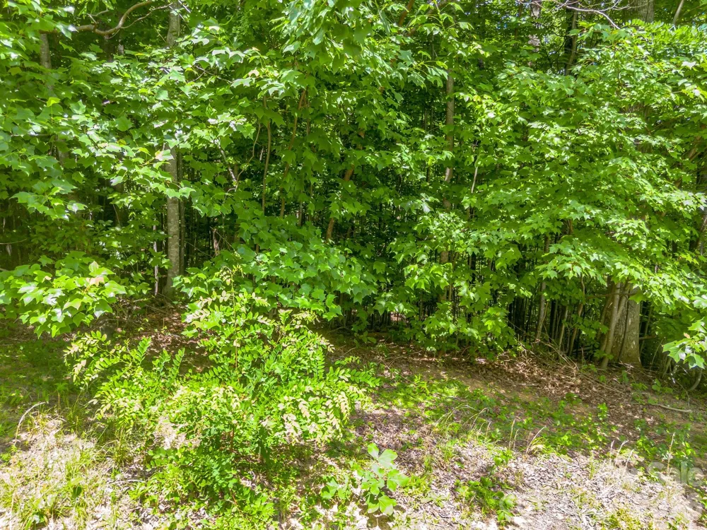 Lot 29 Matho Trace #29 Lake Lure, NC 28746