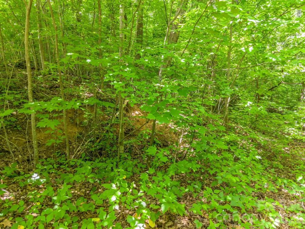 Lot 29 Matho Trace #29 Lake Lure, NC 28746