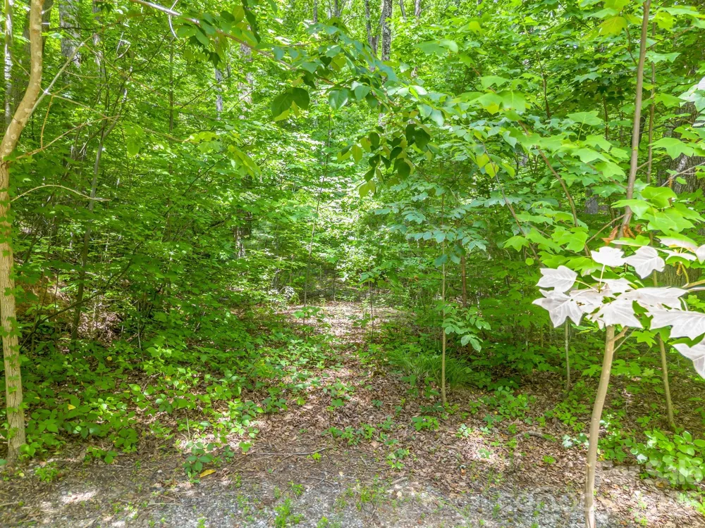 Lot 29 Matho Trace #29 Lake Lure, NC 28746