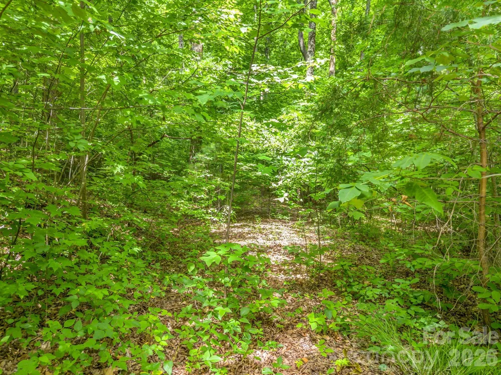 Lot 29 Matho Trace #29 Lake Lure, NC 28746