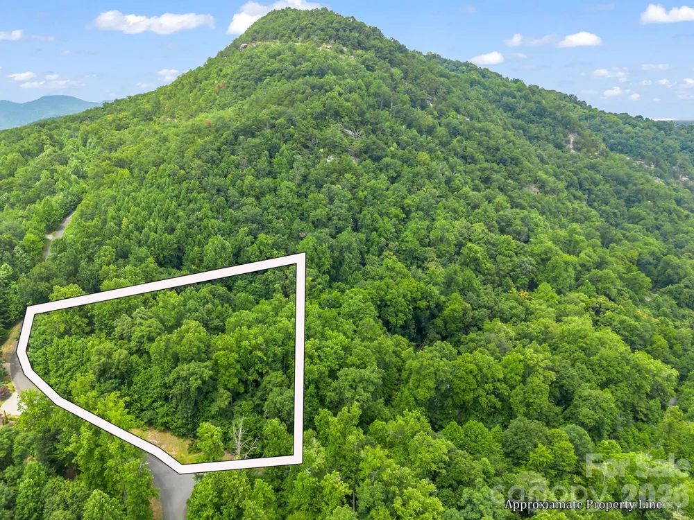 Lot 29 Matho Trace #29 Lake Lure, NC 28746